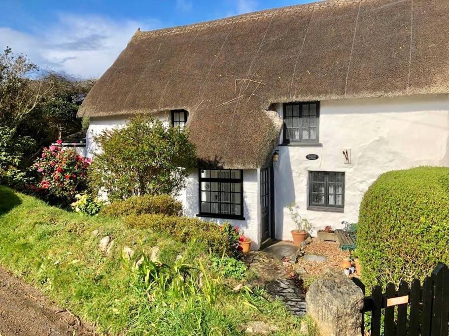 Coombe Cottage เซนต์แอกเนส ภายนอก รูปภาพ